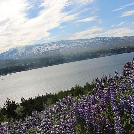 Viking Cottages And Apartments Akureyri Exteriér fotografie