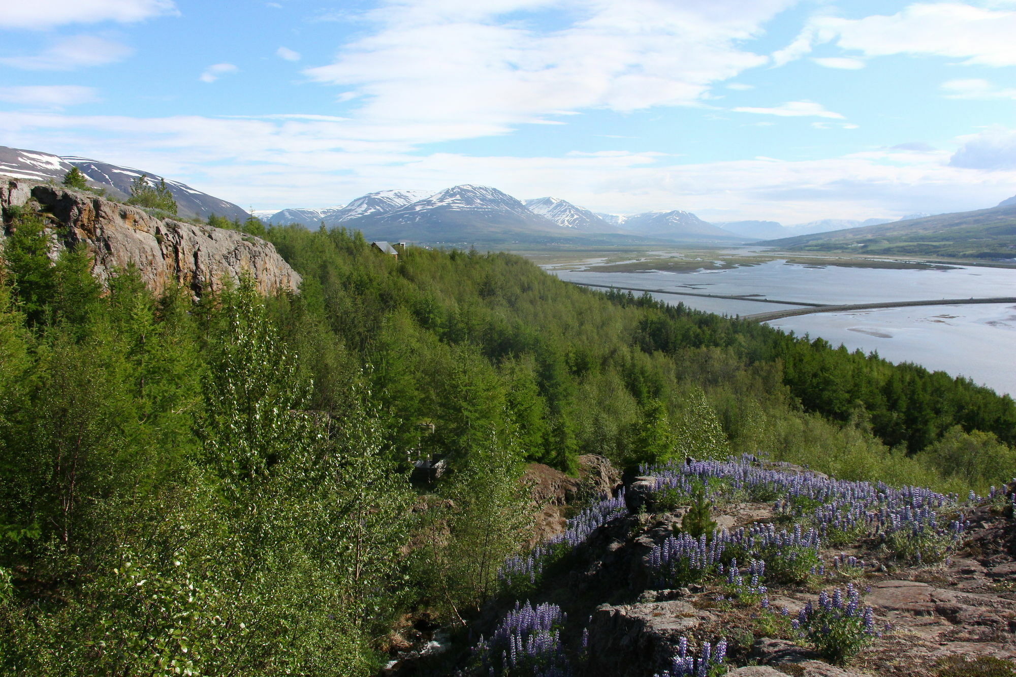 Viking Cottages And Apartments Akureyri Exteriér fotografie